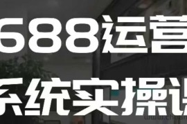 1688高阶运营系统实操课，快速掌握1688店铺运营的核心玩法