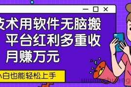 新技术用软件无脑搬运，平台红利多重收益，月赚万元，小白也能轻松上手