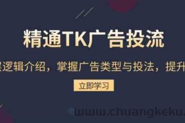 精通TK广告投流：底层逻辑介绍，掌握广告类型与投法，提升效果