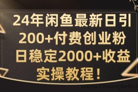 24年闲鱼最新日引200+付费创业粉日稳2000+收益，实操教程【揭秘】