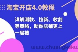 （13202期）淘宝开店4.0教程，详解测款、拉新、收割等策略，助你店铺更上一层楼