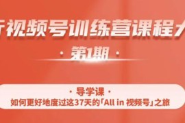 （1509期）视频号特训营，从零启动视频号30天，全营变现5.5万元【价值799元】无水印