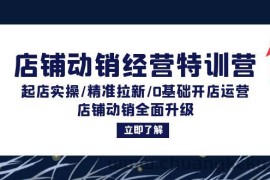 （12794期）店铺动销经营特训营：起店实操/精准拉新/0基础开店运营/店铺动销全面升级