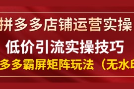 （1342期）拼多多店铺运营实操，低价引流实操技巧，拼多多霸屏矩阵玩法（无水印）