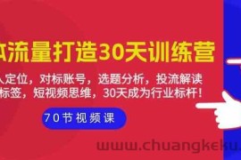 实体流量打造30天训练营：个人定位，对标账号，选题分析，投流解读（70节）