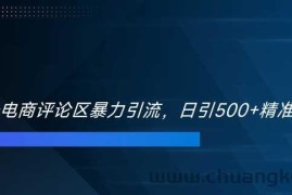 双十一电商评论区暴力引流，日引500+精准创业粉【揭秘】