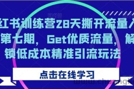 小红书训练营28天撕开流量入口第七期，Get优质流量，解锁低成本精准引流玩法