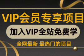 （1149期）暴力撸钱36招，每一招都能月入30000+共36个赚钱项目（价值2000元）