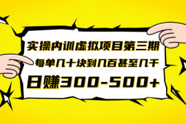 （1389期）实操内训虚拟项目第三期，每单几十块到几百甚至几千，日赚300-500+(无水印)