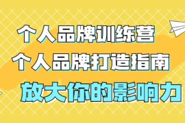 （1828期）张萌萌姐个人品牌训练营，个人品牌打造指南，放大你的影响力（价值3990元）