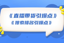 （1668期）王通《直播带货引爆点》+《搜索排名引爆点》（两套视频课）无水印