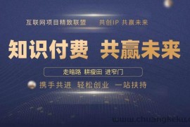 （13944期）2025年 如何通过 “知识付费” 卖项目月入十万、年入百万，布局2025与…