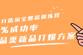 （2209期）打造淘宝爆款训练营，90%成功率：全品类新品打爆方案