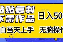 （13242期）粘贴复制，无需作品，日入500+，小白当天上手，无脑操作