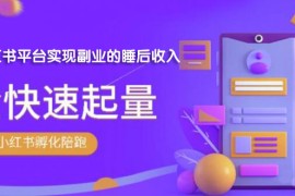 （1811期）勇哥·小红书撸金快速起量陪跑孵化营，教你在小红书平台实现副业的睡后收入