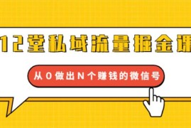 （1768期）12堂私域流量掘金课：打通私域４大关卡，从0做出N个赚钱的微信号【完结】