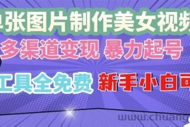 （13610期）单张图片作美女视频 ，多渠道变现 暴力起号，所有工具全免费 ，新手小…