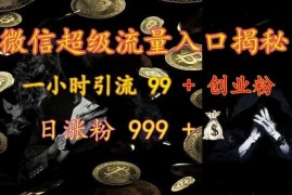 微信超级流量入口揭秘：一小时引流 99 + 创业粉，日涨粉 999 +