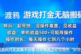 （13501期）韩国知名游戏打金无脑搬砖单机收益500+