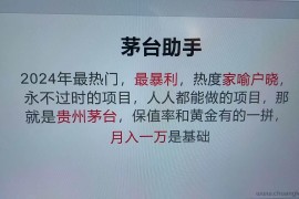 （13217期）魔法贵州茅台代理，永不淘汰的项目，抛开传统玩法，使用科技，命中率极…