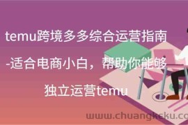 temu跨境多多综合运营指南-适合电商小白，帮助你能够独立运营temu(44节)