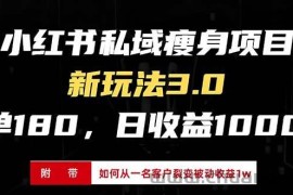 （13348期）小红书瘦身项目3.0模式，新手小白日赚收益1000+（附从一名客户裂变收益…