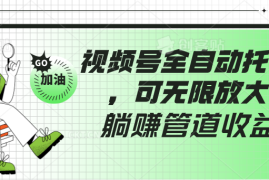 视频号全自动托管，有微信就能做的项目，可无限放大躺赚管道收益