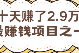 闲鱼小红书最赚钱项目之一，轻松月入6万+