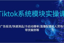 Tiktok系统模块实操课：广告投流/快速测品/冷启动爆单/直播配置和人货场/带货案例等