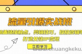 （14008期）流量引爆实战班，涵盖情绪触点，剪辑技巧，投放逻辑等，打造女性IP变现