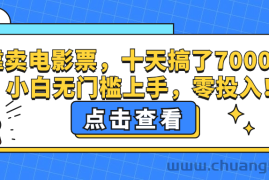 （12665期）靠卖电影票，十天搞了7000+，小白无门槛上手，零投入！