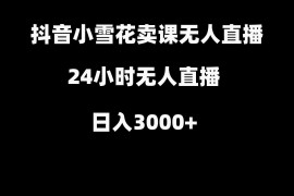 抖音小雪花卖缝补收纳教学视频课程，无人直播日入3000+