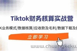 Tiktok财务核算实战营：TK业务模式/数据核算/应收款及毛利/数据下载及报表