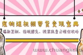 宠物短视频带货变现宝典：爆款复制、违规避免、搜索流量占领全攻略