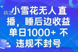 （13491期）小雪花无人直播 睡后收益单日1000+ 零粉丝新号开播 不违规 看完就会