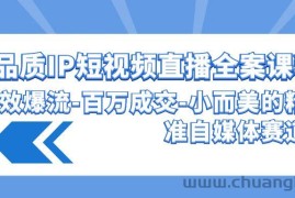 高品质IP短视频直播全案课程，有效爆流百万成交，小而美的精准自媒体赛道