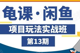 （1440期）闲鱼项目玩法实战班第13期：从0到N+方法，全程直播 现场演练（全套无水印）