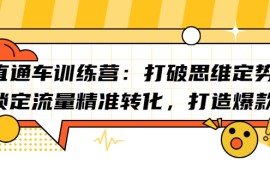 （2191期）直通车训练营：打破思维定势，锁定流量精准转化，打造爆款