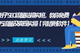 （1801期）2021年附子SEO流量站操实班 教你免费获得百万流量及变现实操(完结附软件)