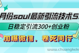 （12772期）9月份soul最新引流技术5.0，日稳定引流300+创业粉，加爆微信，卷死同行