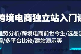 跨境电商独立站入门课：趋势分析/跨境电商前世今生/选品流程/多平台比较/建站演示等