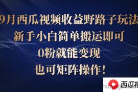 （12760期）西瓜视频收益野路子玩法，新手小白简单搬运即可，0粉就能变现，也可矩…