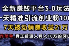 全新赚钱平台3.0玩法一天精准引流创业粉1000.7天被动躺Z收益21W【仅揭秘】