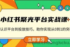 小红书聚光平台实战课，从认识平台到投放技巧，助你实现从0到1的突破