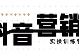 （1460期）《12天线上抖音营销实操训练营》通过框架布局实现自动化引流变现（无水印）