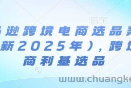 亚马逊跨境电商选品案例(更新2025年)，跨境电商利基选品