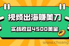 国内爆款视频出海赚美刀，实战收益4500美金，批量无脑搬运，无需经验直接上手