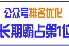 （1478期）微信公众号排名优化精准引流玩法，长期霸占第1位被动引流技术（视频课程）