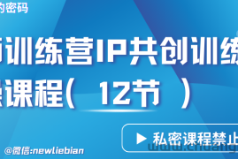 导师训练营3.0IP共创训练营私密实操课程（12节）-卖项目的密码成功秘诀