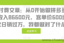 某付费文章：从0开始做拼多多18天收入86600元，客单价600块稳定日销过万，我都做对了什么?